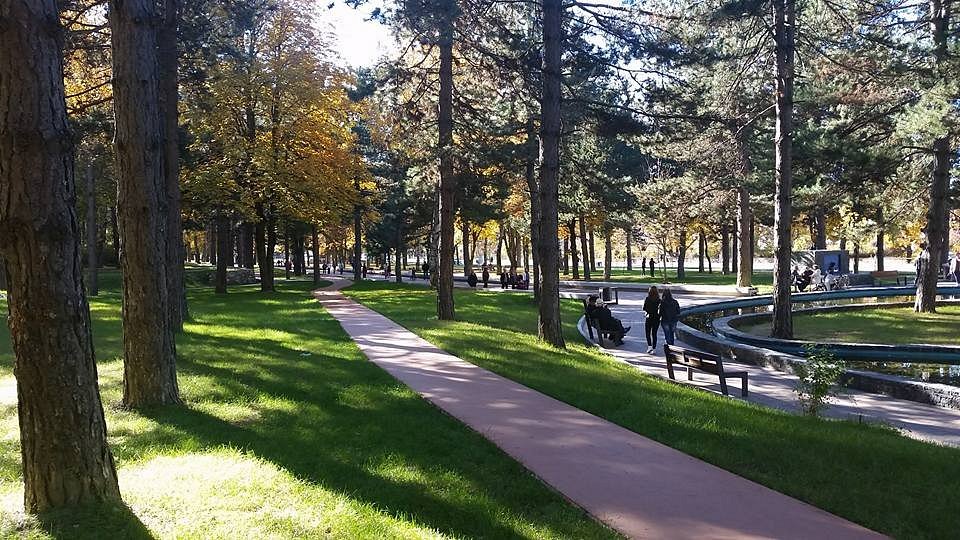 Parku “Rinia”