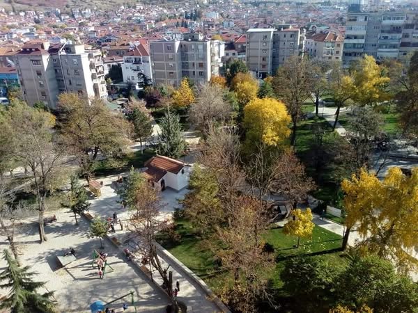 Lulishtja “Shën Maria”